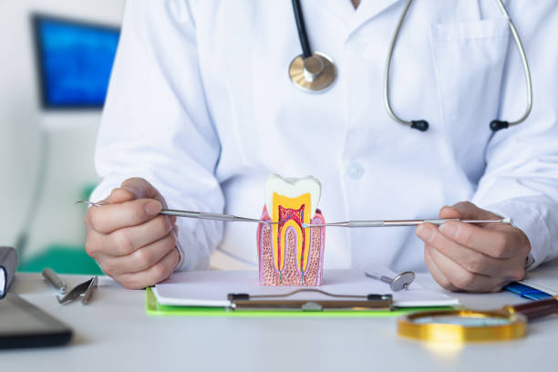 Best Holiday Emergency Dentist in Savannah, GA